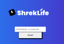 jeu première NSI